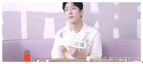 站姐爆料娱乐圈大瓜小说,站姐爆料大瓜，揭秘明星背后真相  第3张